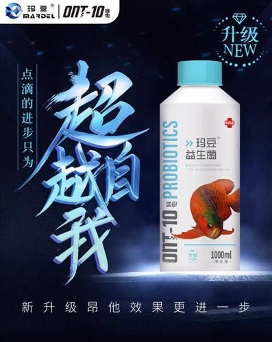 有哪些魚藥可以調理龍魚腸胃？，哪種魚藥可以調理龍魚腸胃？