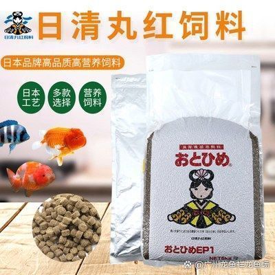 祥龍魚場提供哪些種類的龍魚？，祥龍魚場主流龍魚品種對比表，