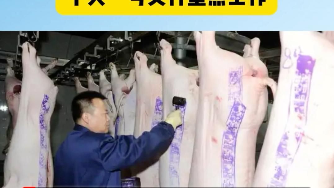 有哪些政策支持養(yǎng)殖業(yè)，政策支持養(yǎng)殖業(yè)“3”