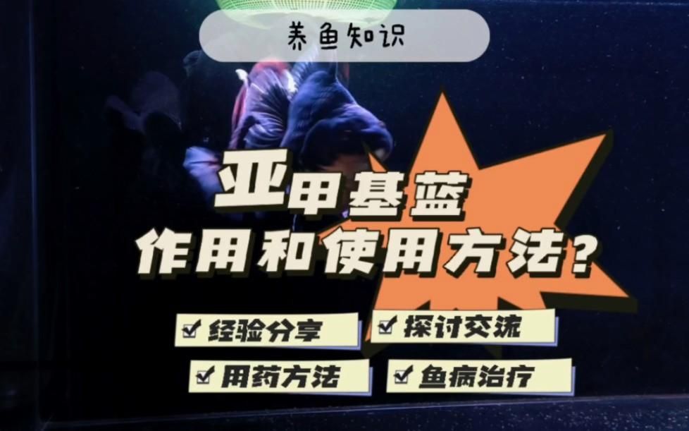 魚蒙眼可以用亞甲基藍嗎，魚蒙眼可以用亞甲基藍嗎,