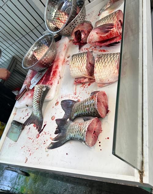 麻章龍魚的市場供需如何，麻章電商平臺供需分析
