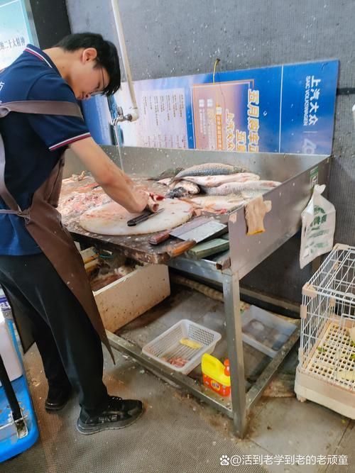 麻章龍魚的市場(chǎng)供需如何，麻章電商平臺(tái)供需分析