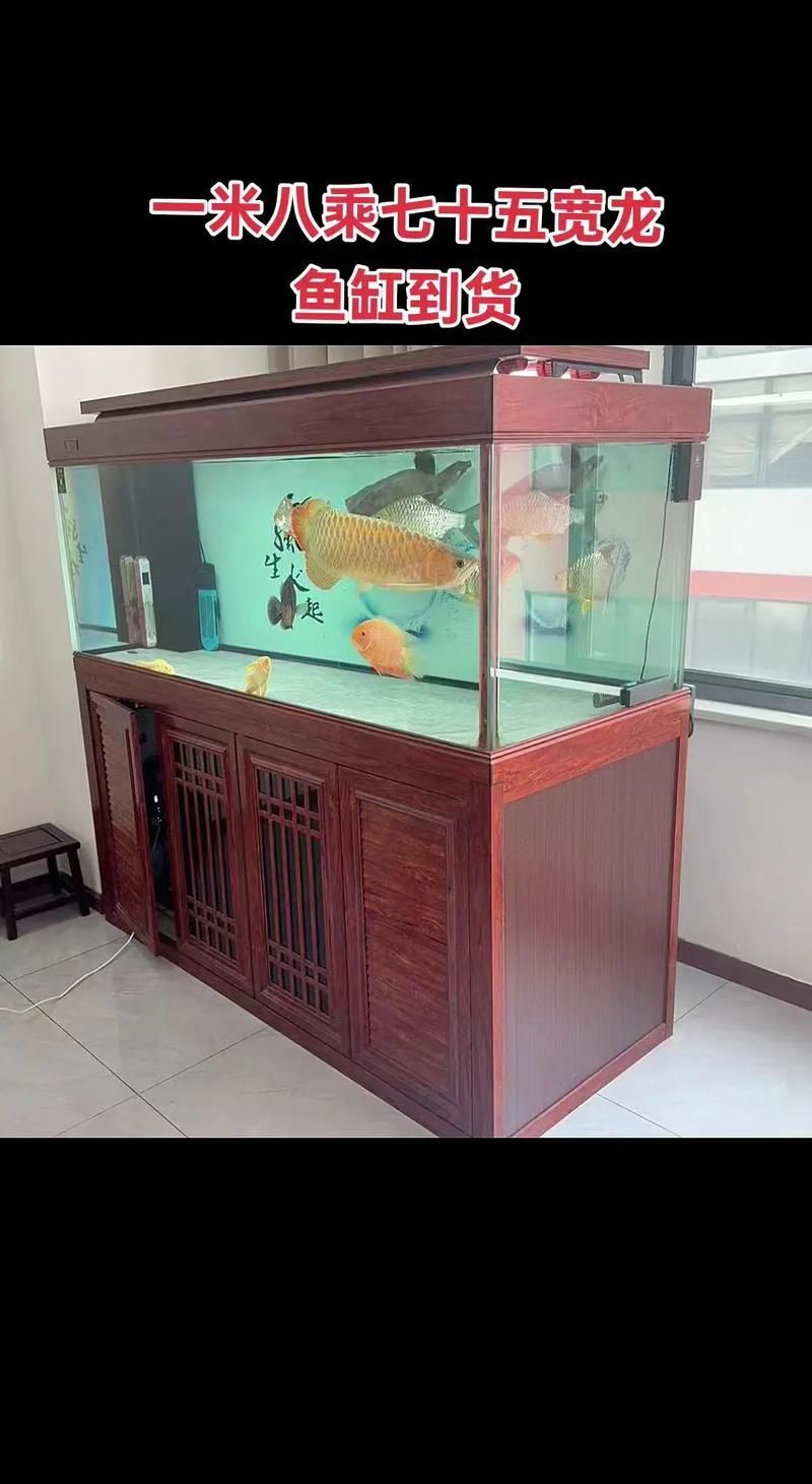 如何判斷龍魚魚缸的耐用性？，龍魚魚缸耐用性直接關系到養魚安全、家居安全以及長期使用成本