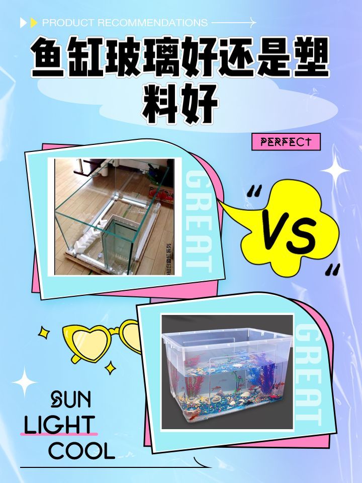 如何判斷龍魚魚缸的耐用性？，龍魚魚缸耐用性直接關系到養魚安全、家居安全以及長期使用成本