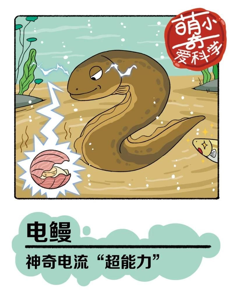 電鰻如何躲避天敵？，一電擊退天敵焦作小白科電鰻:水中的“電”力英雄咕咕小眾優(yōu)品擺件