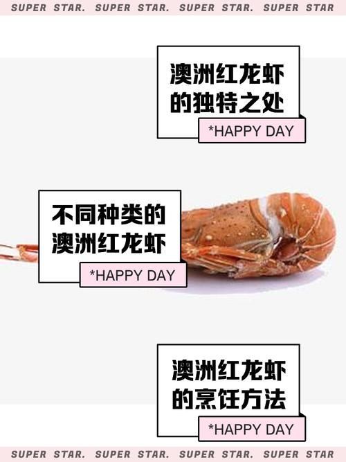 紅龍與澳龍的食用口感，如何區(qū)分澳龍和紅龍