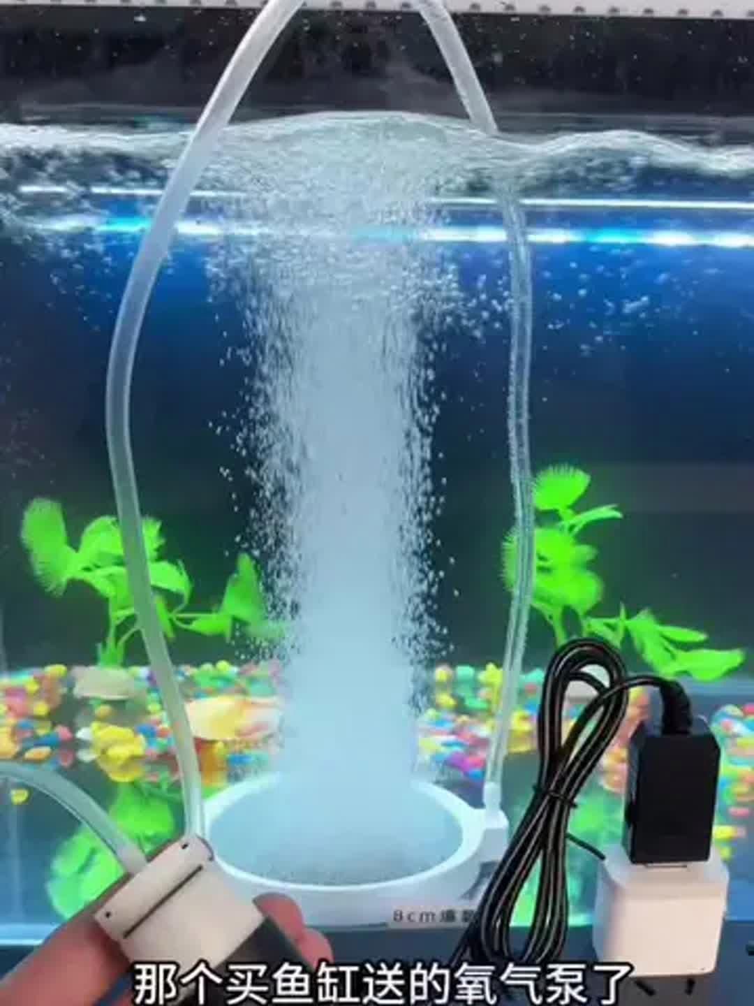 如何緩解魚(yú)趴缸癥狀，arxiv論文助手緩解魚(yú)趴缸癥狀思考完成arxiv論文助手