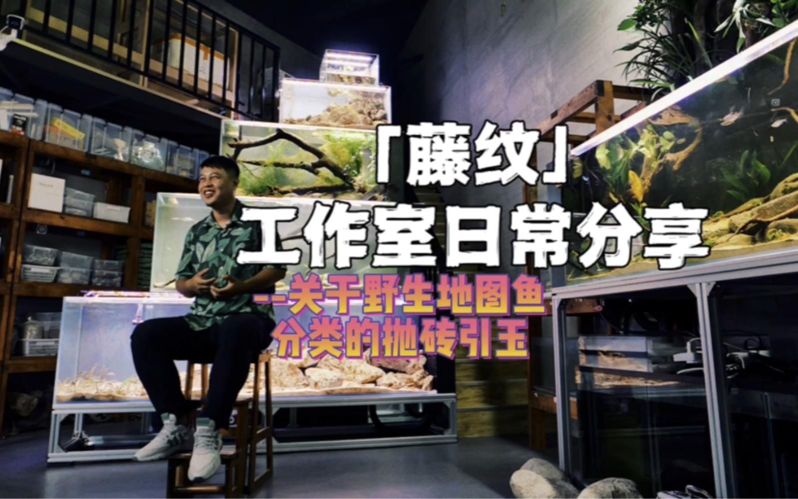 野生地圖魚有哪些品種，野生地圖魚有哪些品種，