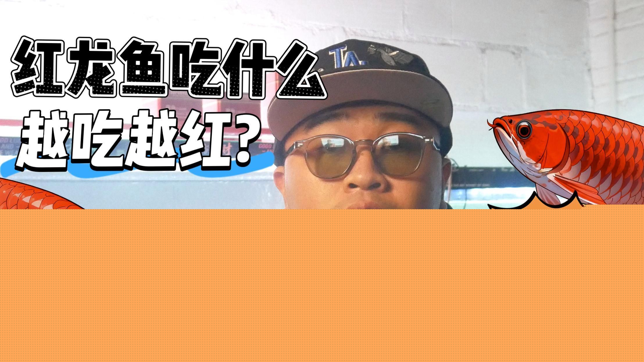 有哪些食物對(duì)龍魚(yú)發(fā)色特別有效？，龍魚(yú)發(fā)色食物推薦