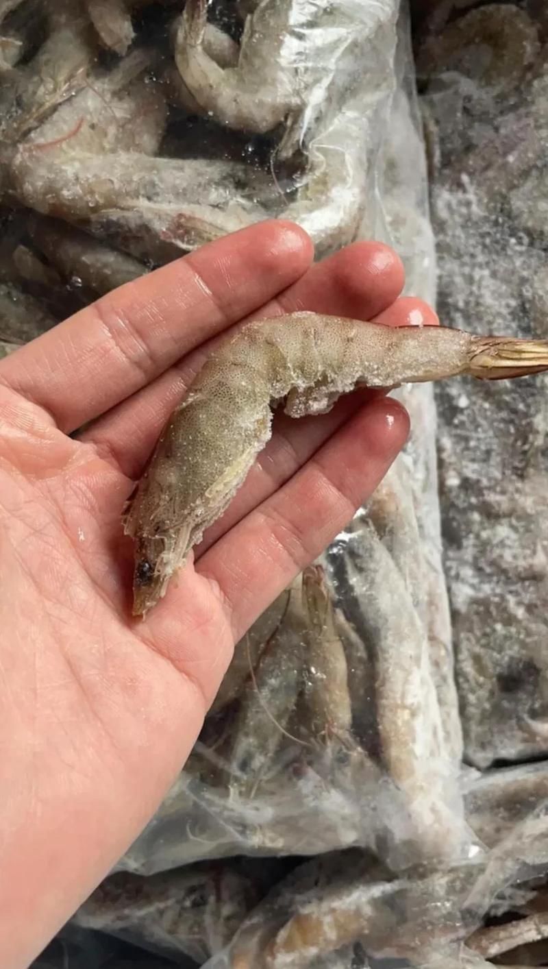 有哪些食物對龍魚發色特別有效？，龍魚發色食物推薦