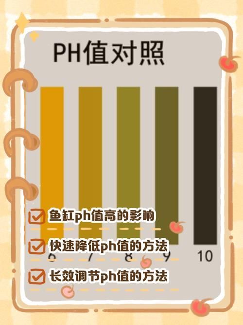 如何調整龍魚缸的pH值？