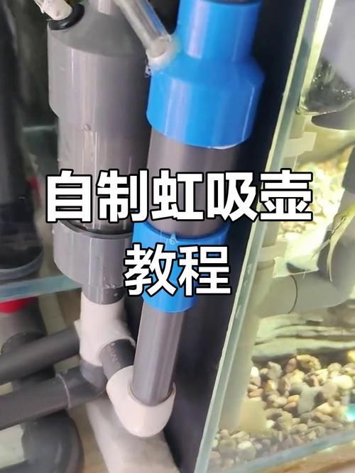 如何預(yù)防金魚魚鱗脫落