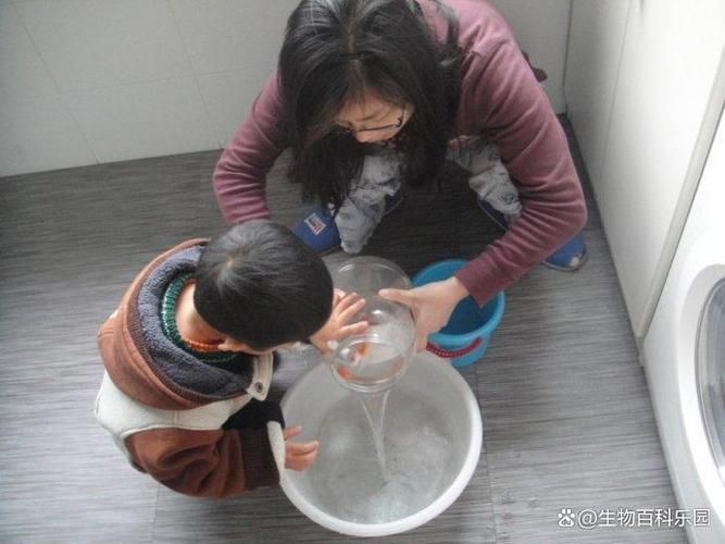 如何預(yù)防金魚魚鱗脫落