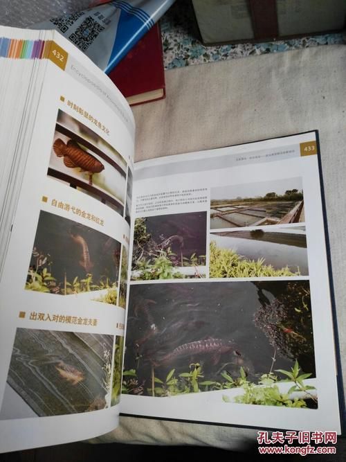 如何訂閱《龍魚專刊》或《龍魚志》？，《龍魚專刊》和《龍魚志》如何訂閱