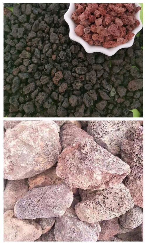 有哪些適合紅龍的避雨設施，《龍與地下城與勇士》中紅龍的避雨設施
