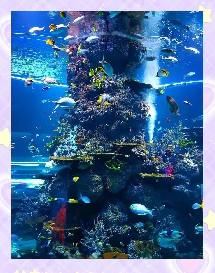 龍魚缸制作需要哪些材料和工具？