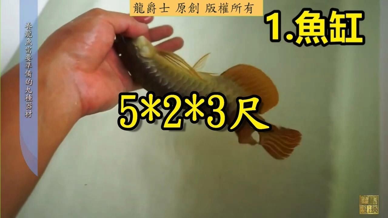 龍魚缸制作需要哪些材料和工具？