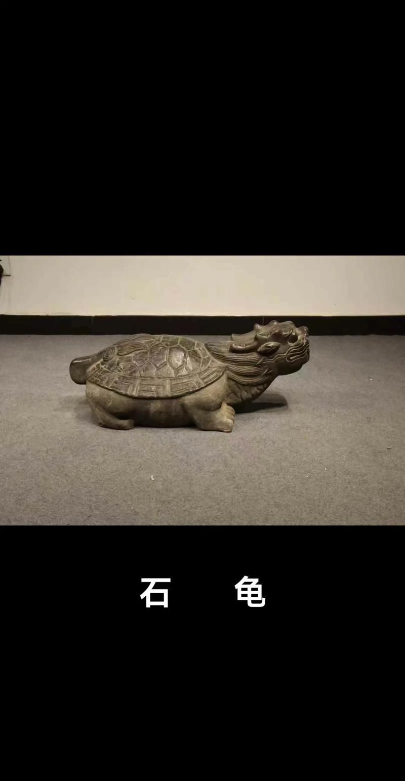 石龜擺放的最佳方位，石龜擺放的最佳方位需綜合，三大因素