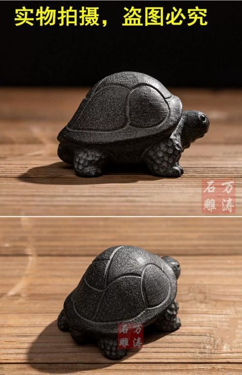 石龜擺放的最佳方位，石龜擺放的最佳方位需綜合，三大因素