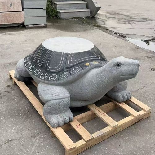 石龜擺放的最佳方位，石龜擺放的最佳方位需綜合，三大因素