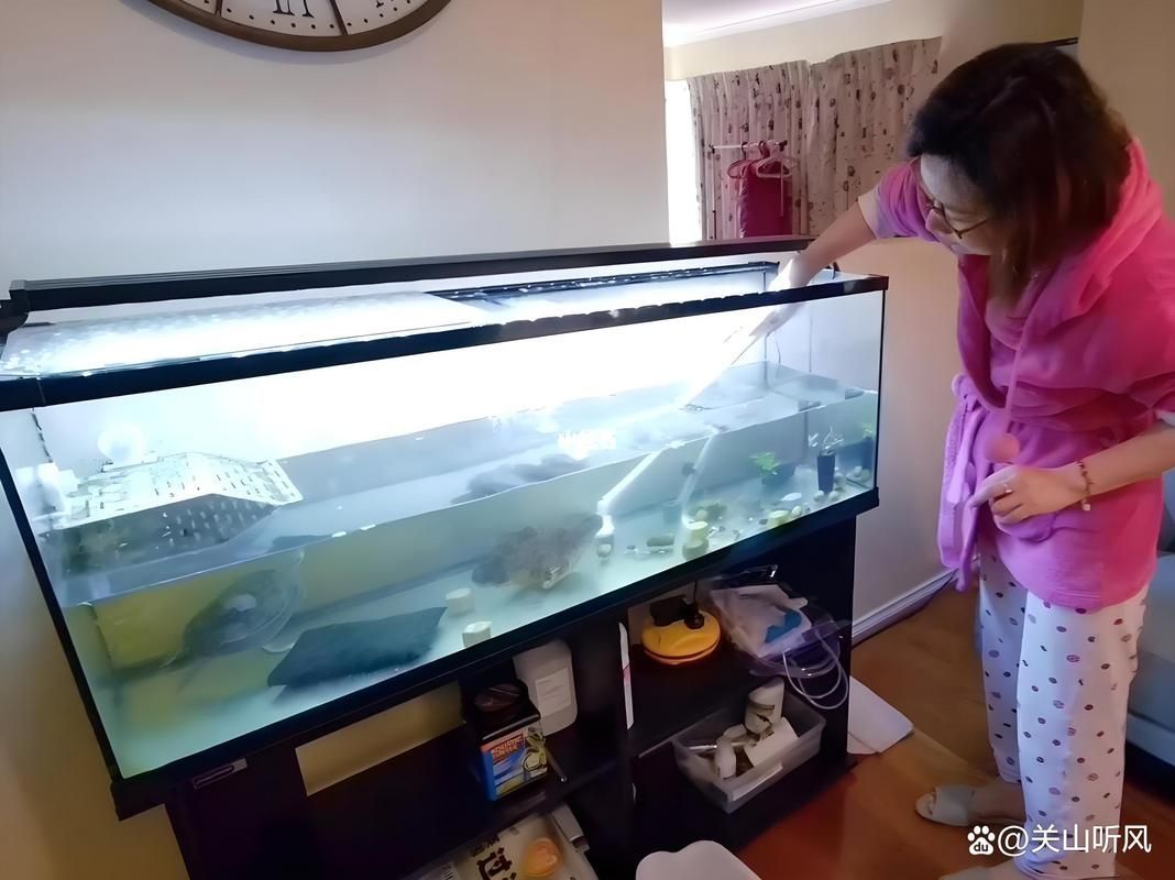 爛尾魚如何護理，arxiv論文助手arxiv論文助手arxiv論文助手