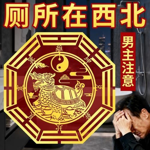 龍龜放衛(wèi)生間最佳位置圖，龍龜擺放衛(wèi)生間最佳位置圖