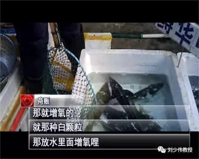 有哪些藥物組合使用可能導致魚浮頭，arxiv論文arxiv論文助手arxiv論文助手新增搜索