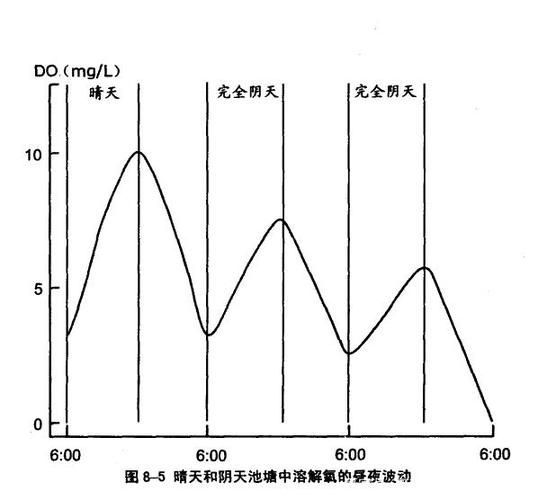 如何預防小魚浮頭