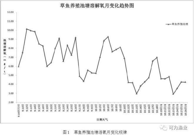 如何預防小魚浮頭