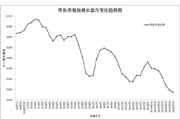 如何預防小魚浮頭