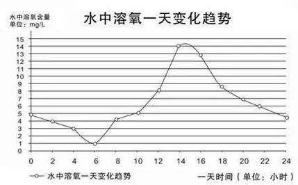如何預防小魚浮頭