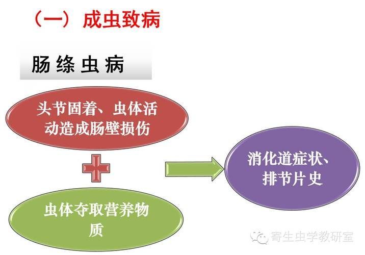 人類感染舌形絳蟲的概率有多大，arxiv論文助手arxiv論文助手獲取最新研究論文