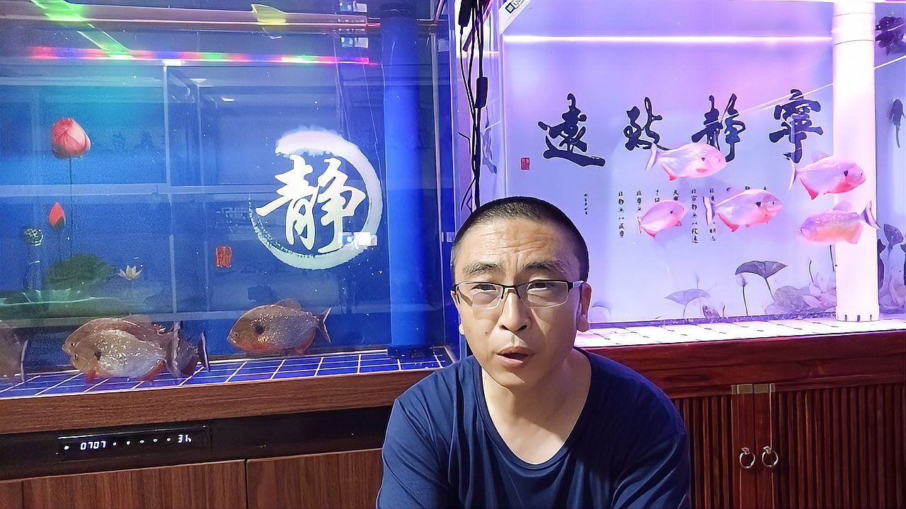 哪些觀賞魚自愈能力最強，如何判斷觀賞魚是否受傷，哪些觀賞魚適合新手飼養，有哪些觀賞魚自愈能力較弱