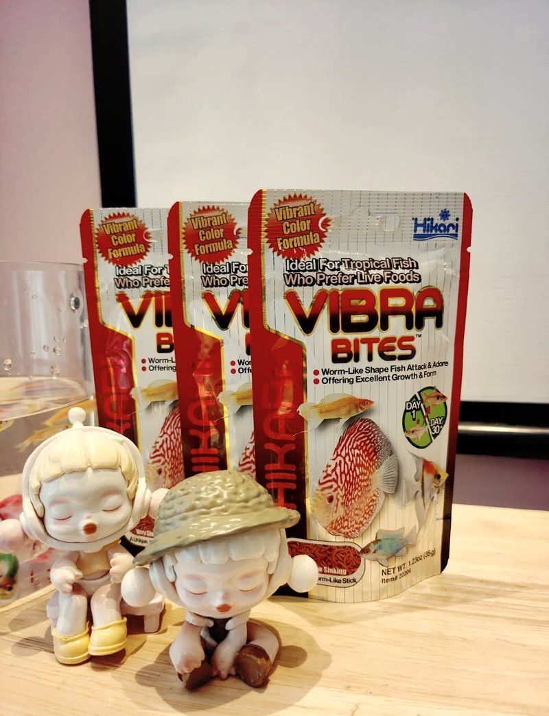 如何判斷龍魚飼料的質量？