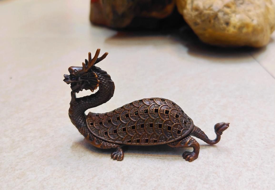龍龜材質有哪些種類，龍龜材質選購指南，古典過背金龍魚發色快速對比不同材質的優缺點