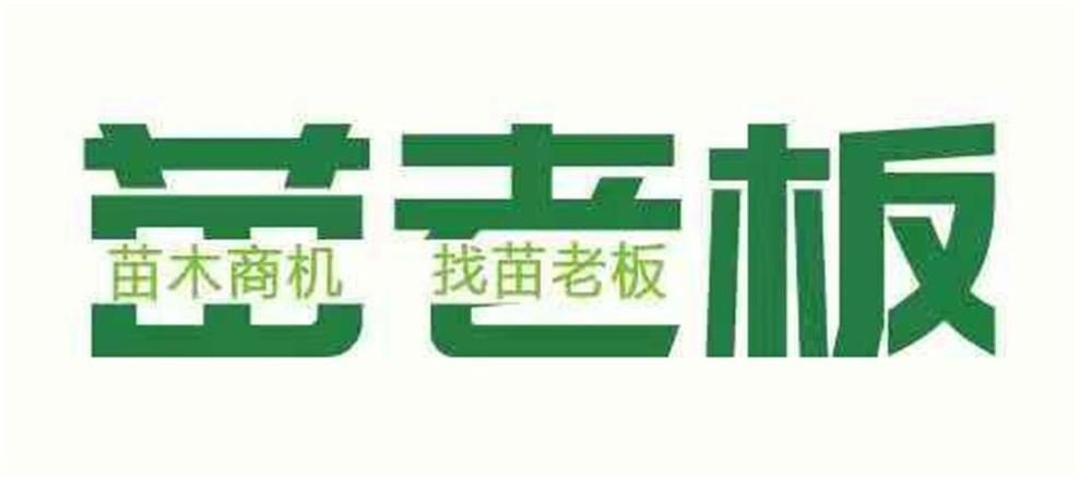 優苗網和魚拉拉哪個更好，優是否和魚拉拉哪個更好