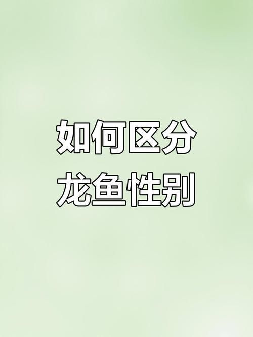 如何鑒別東安龍魚(yú)的品質(zhì)，東安龍魚(yú)的品質(zhì)鑒別東安龍魚(yú)的品質(zhì)是一個(gè)重要的品質(zhì)