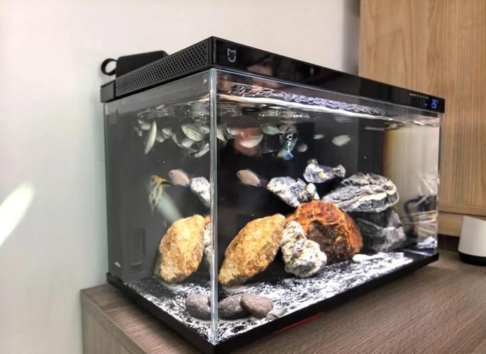 這些品牌魚缸的價格范圍是多少，不同品牌魚缸價格范圍是多少不同品牌魚缸的價格范圍是多少