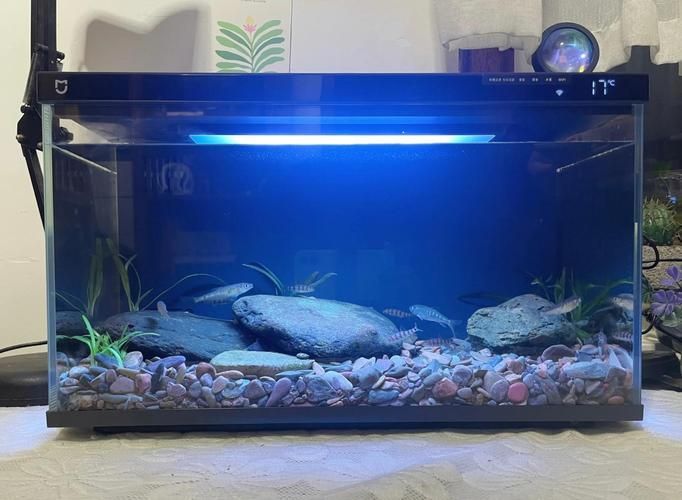 這些品牌魚缸的價格范圍是多少，不同品牌魚缸價格范圍是多少不同品牌魚缸的價格范圍是多少