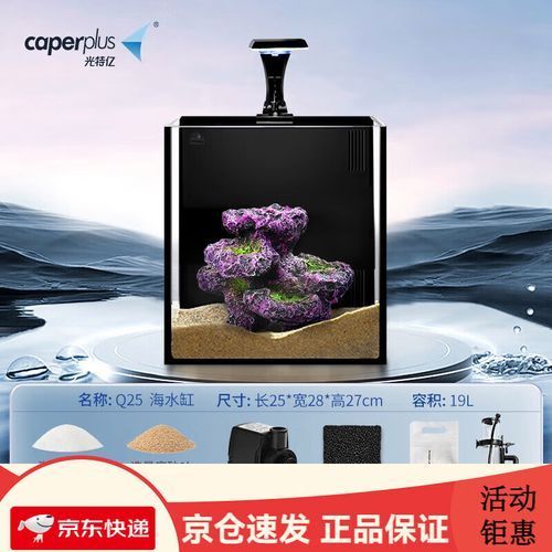 光特億，光特億（caperplus）——光特億