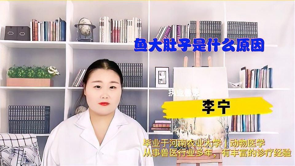 如何預防魚得大肚子病，如何預防魚得“大肚子病”