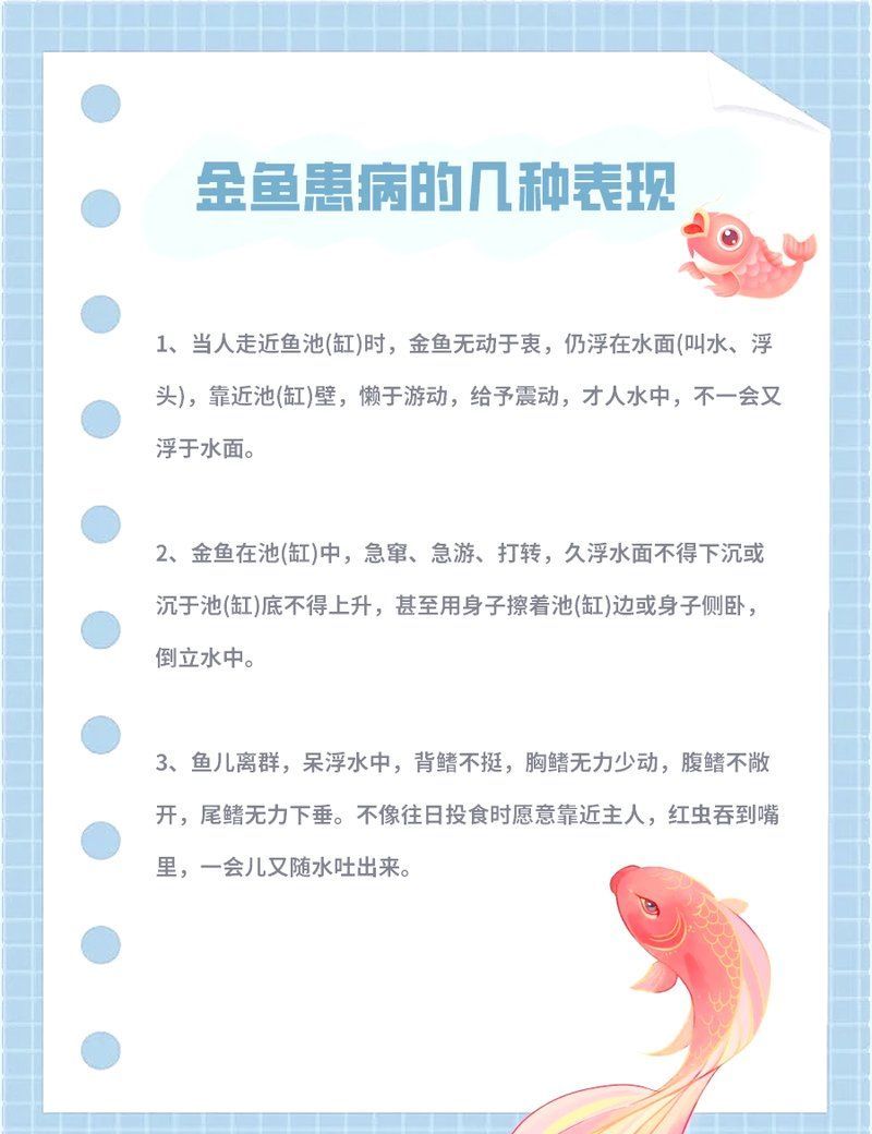 如何判斷金魚是否受傷，金魚受傷的判斷方法