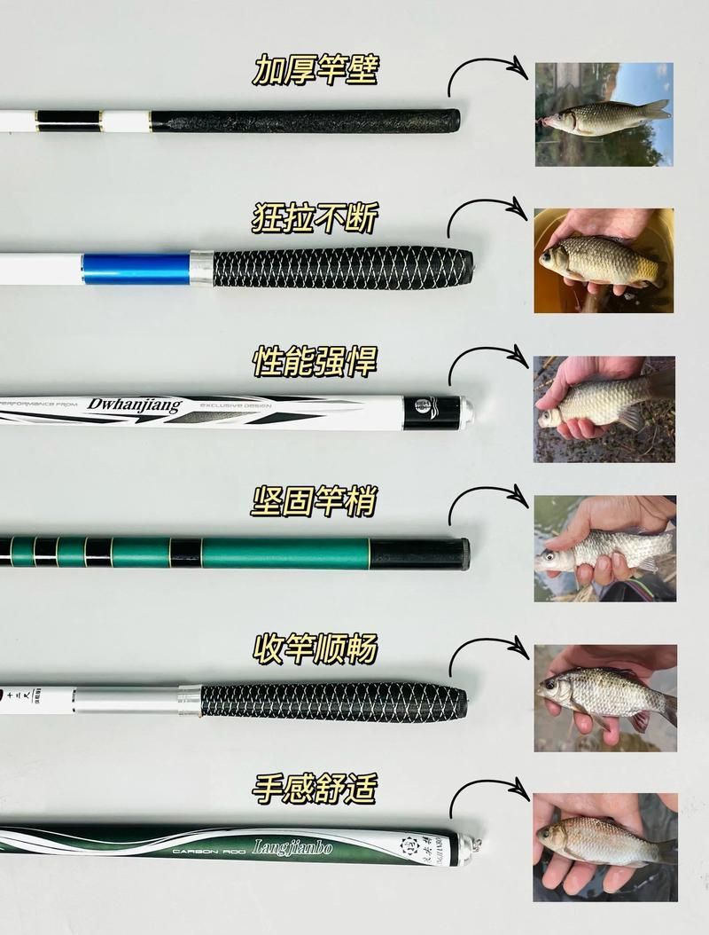 如何判斷釣魚竿的質量，釣魚竿材質判斷是確保釣魚活動成功與否的關鍵因素