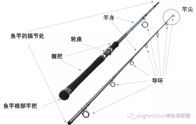 如何判斷釣魚竿的質量，釣魚竿材質判斷是確保釣魚活動成功與否的關鍵因素