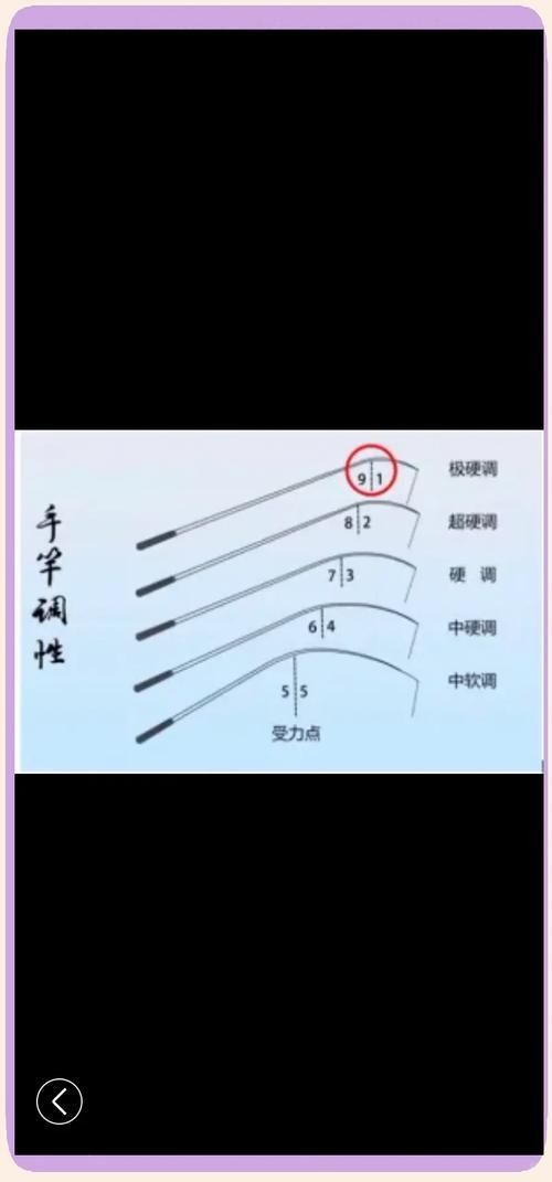 如何判斷釣魚竿的質量，釣魚竿材質判斷是確保釣魚活動成功與否的關鍵因素