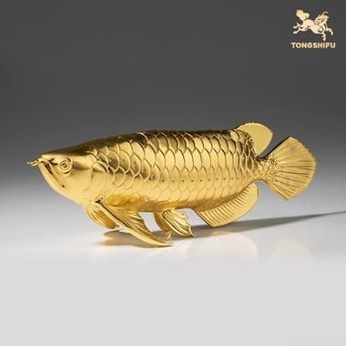 龍頭魚擺件有哪些知名品牌，龍頭魚擺件品牌有哪些
