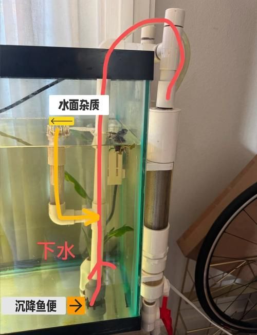如何預防龍魚感染細菌，亞洲觀賞魚缸底濾水循環安裝圖解龍魚感染細菌感染細菌