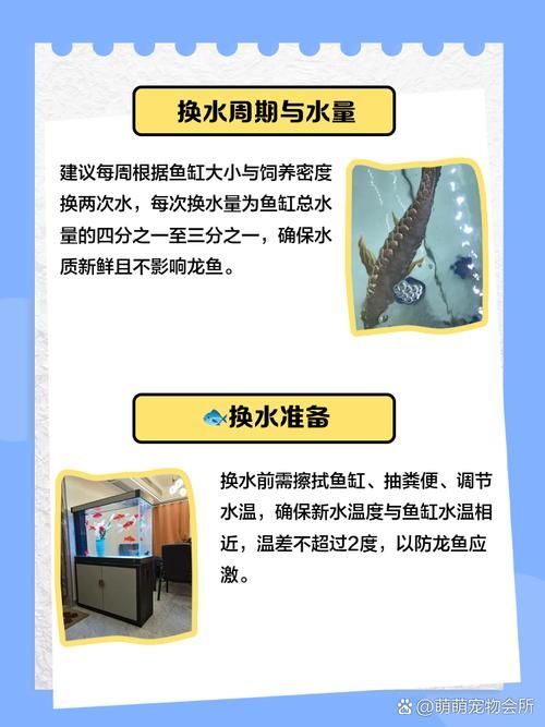 如何預防龍魚感染細菌，亞洲觀賞魚缸底濾水循環安裝圖解龍魚感染細菌感染細菌