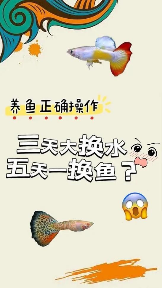 如何預防龍魚感染細菌，亞洲觀賞魚缸底濾水循環安裝圖解龍魚感染細菌感染細菌