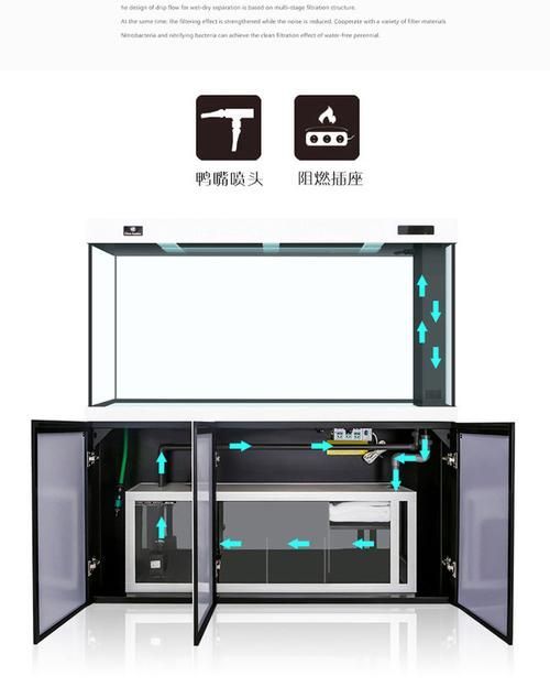 可麗愛和彩鰈哪個性價比更高？